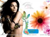 Sherlyn Chopra